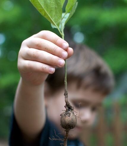 Project-based Homeschooling Made Easy