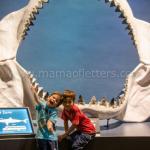 tellus science museum